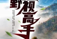 完结版《山野透视高手》章节阅读-推书机