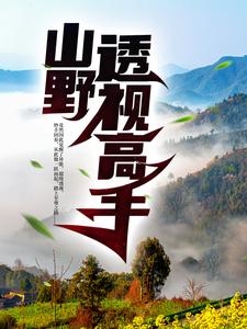 完结版《山野透视高手》章节阅读