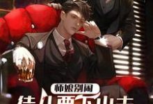 完结版《师娘别闹,徒儿要下山去祸害未婚妻了》章节目录在线阅读-推书机