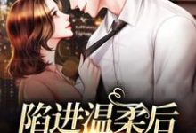 陷进温柔后，他宠上瘾了小说最新章节在哪里可以读到？-推书机