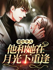 完结版《那年冬天，他和她在月光下重逢》章节阅读