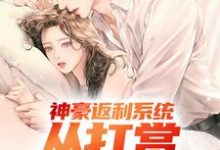 《神豪返利系统：从打赏女团开始》完整版小说免费阅读-推书机