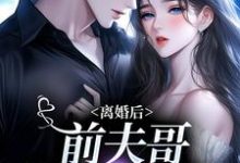 景钰李岩松小说离婚后,前夫哥苦等我回头在线阅读章节-推书机