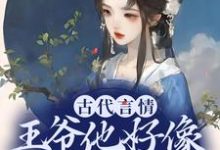 《古代言情：王爷他好像是断袖啊》小说章节在线试读，《古代言情：王爷他好像是断袖啊》最新章节目录-推书机