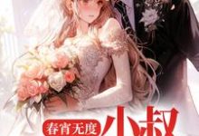 寻找能够免费阅读春宵无度：小叔宠我上天小说的平台-推书机