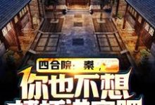 小说《四合院:秦,你也不想棒梗进牢吧》完整版在线章节免费阅读-推书机