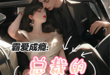 《霸爱成瘾：总裁的小逃妻》小说章节列表免费试读，叶沁江浩城小说在线阅读-推书机