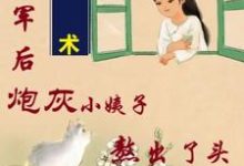 姐随军后,炮灰小姨子熬出了头完整版小说,姐随军后,炮灰小姨子熬出了头最新章节-推书机