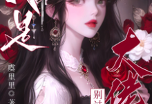 已完结小说《疯批大佬们别过来!我是恶毒女配》在线章节阅读-推书机