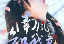 南风知我意，生生盼霄北小说无弹窗阅读的网站推荐-推书机