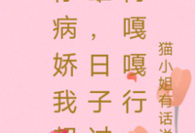 《你病娇我超雄,日子过得嘎嘎行》楚停澜傅南渊小说免费阅读完整版-推书机