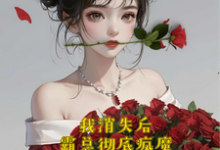 已完结小说《我消失后，霸总彻底疯魔》章节在线阅读-推书机
