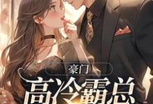 《豪门:高冷霸总别太宠》全集免费在线阅读(苏颜汐傅霖宸)-推书机