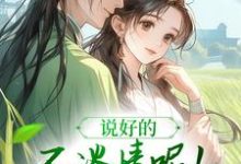 说好的不谈情呢!王爷请自制这本小说怎么样?免费在线阅读试试-推书机
