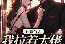 小说完整版《订婚当天,我拉着大佬去领证》免费阅读-推书机
