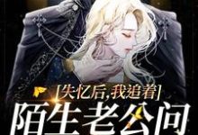 失忆后,我追着陌生老公问相爱过程姜听杳盛宥礼在线章节免费阅读-推书机