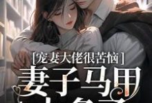 秦婠霍霆骁小说《宠妻大佬很苦恼，妻子马甲太多了！》在线阅读-推书机
