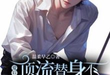 顶流替身不爱后,渣男变舔狗了小说有没有完整的免费版本在线阅读?-推书机