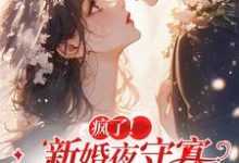 苏黎傅念琛小说完整版《疯了!新婚夜守寡,疯批亡夫回来了》免费阅读-推书机