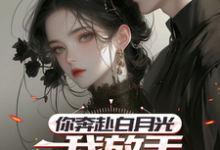 《你奔赴白月光，我放手你挽留什么》楚轩陈冰小说免费阅读完整版-推书机