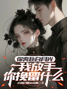 《你奔赴白月光，我放手你挽留什么》楚轩陈冰小说免费阅读完整版