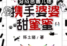 已完结小说《穿成恶毒儿媳,携手婆婆甜蜜蜜》章节免费阅读-推书机