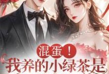 混蛋!我养的小绿茶是京圈太子爷小说全文阅读需要付费吗?寻找免费资源-推书机