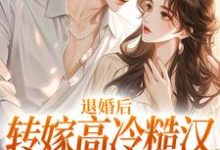 免费在线阅读退婚后转嫁高冷糙汉，渣男悔疯了小说的正规网站有哪些？-推书机