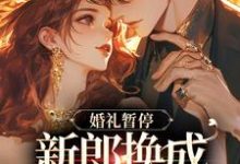 白月光婚约作废,机长趁机上位小说完结版章节免费阅读-推书机