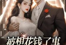 被想花钱了事，结果我被缠上了小说有没有完结版在线？-推书机