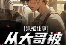哪里可以免费找到黑道往事:从大哥被暗算开始?-推书机