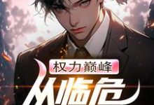 完结版《权力巅峰:从临危受命开始》章节阅读-推书机