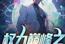 哪里可以免费找到权力巅峰之宦海浮沉?-推书机