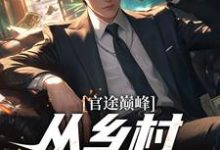官途巅峰,从乡村书记崛起!小说的所有章节都能在哪里免费读到?-推书机