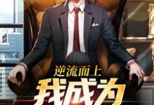 逆流而上,我成为官道新贵!小说全文哪里可以免费看?-推书机
