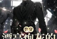 完结版《【快穿】漂亮炮灰的恶人进化指南》章节目录在线阅读-推书机