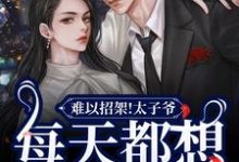 吴桀墨允芊小说叫什么（难以招架！太子爷每天都想强取豪夺完整版免费阅读）-推书机