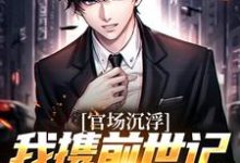 《官场沉浮,我携前世记忆飞速上位》小说大结局免费试读 杨辰杨霖小说-推书机