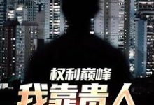 寻找权利巅峰:我靠贵人逆袭高管!小说的最新更新章节-推书机