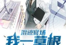 混迹官场:我一草根平步青云赵逸苏灵珊小说大结局免费试读-推书机