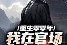 《重生零零年:我在官场如鱼得水》小说免费阅读完整版-推书机