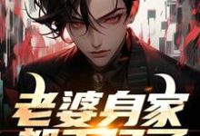 完整版小说《老婆身家都千亿了，我该不该躺？》免费阅读-推书机