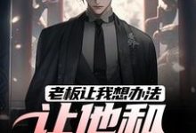 完结版《老板让我想办法,让他和老婆离婚》章节目录在线阅读-推书机