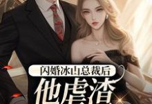 闪婚冰山总裁后,他虐渣玩上瘾了免费阅读,闪婚冰山总裁后,他虐渣玩上瘾了章节在线阅读-推书机
