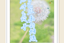 季雪儿郁北川小说免费阅读完整版-推书机