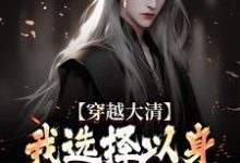 小说《穿越大清,我选择以身解救千万百姓》章节免费阅读-推书机
