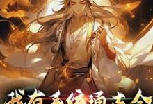 我有系统通古今,开局就反清小说,我有系统通古今,开局就反清在线阅读-推书机