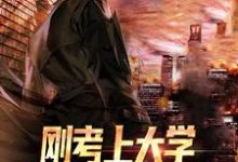 陆离小说在线章节免费阅读（刚考上大学，我被选上了修仙无弹窗无删减）-推书机