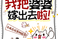 在线寻找一品官媒:我把婆婆嫁出去啦!小说的无删减版本-推书机