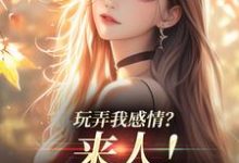 小说《玩弄我感情?来人!给我往死虐》章节免费阅读-推书机
